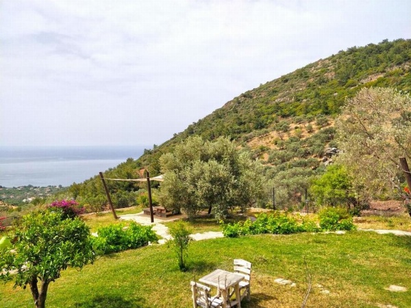 Zephyros Hotel image 30