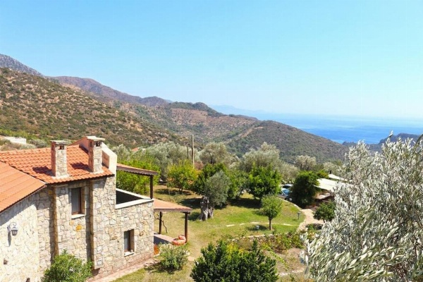 Zephyros Hotel image 33