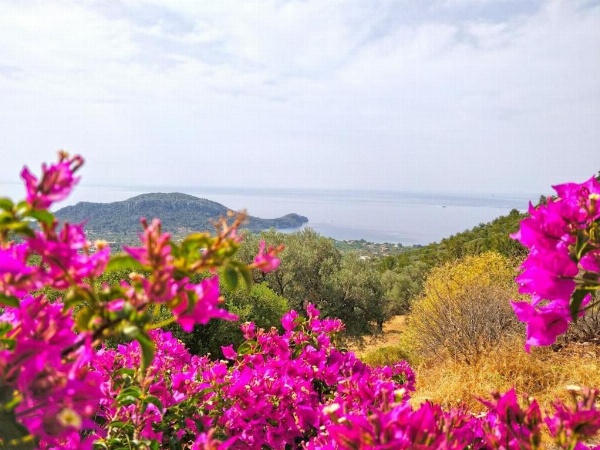 Zephyros Hotel image 38