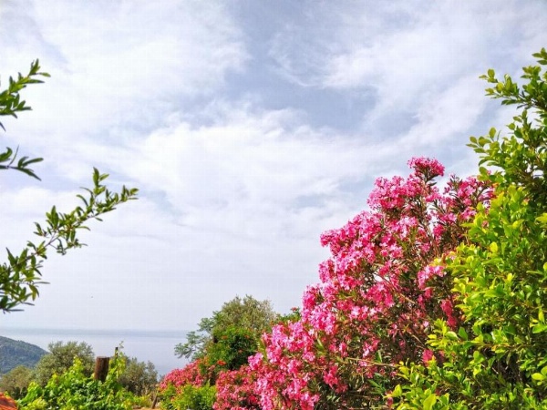 Zephyros Hotel image 43