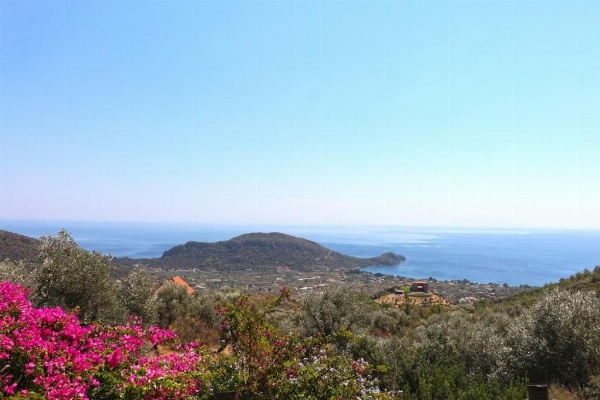 Zephyros Hotel image 44