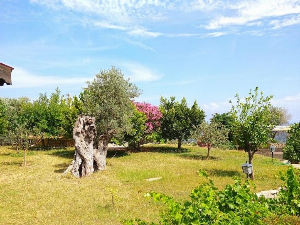 Zephyros Hotel image 45