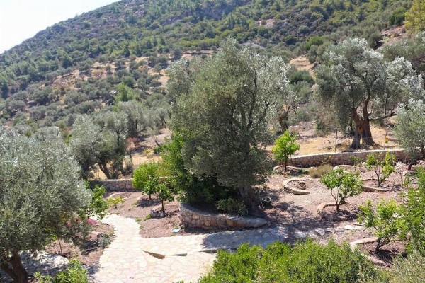 Zephyros Hotel image 46