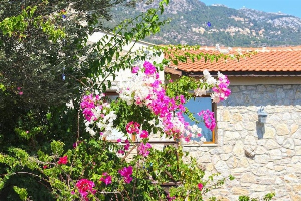 Zephyros Hotel image 48